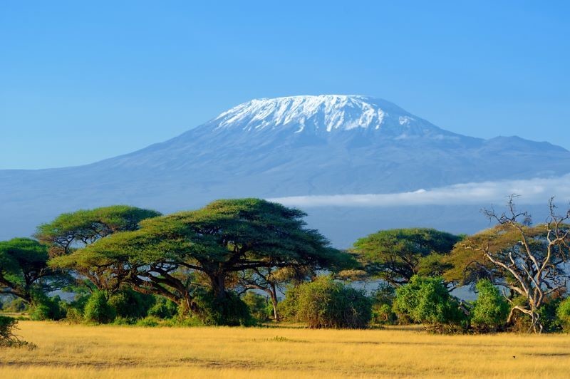 Other image for Carl’s trek up Kilimanjaro